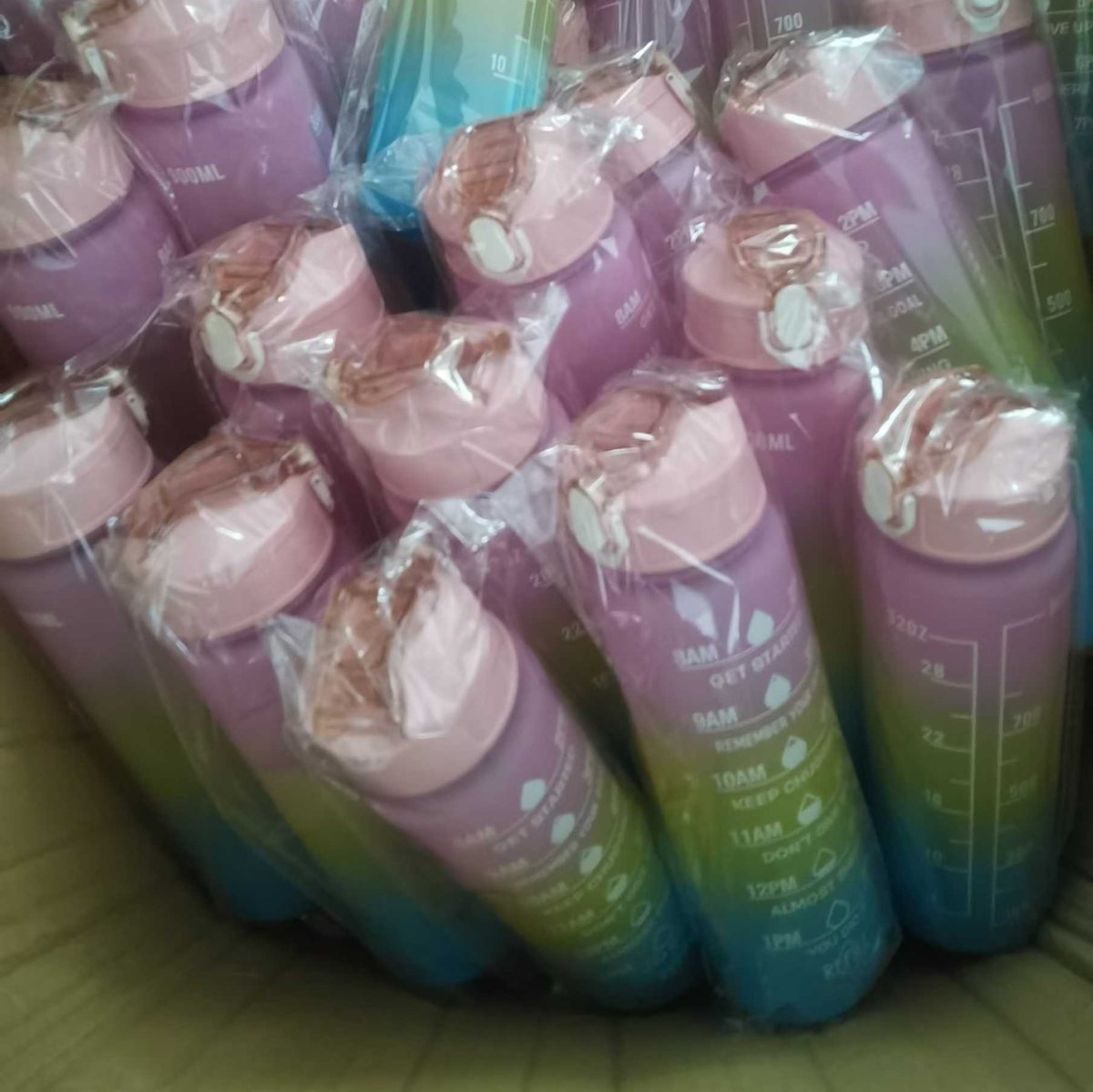 Water Cup