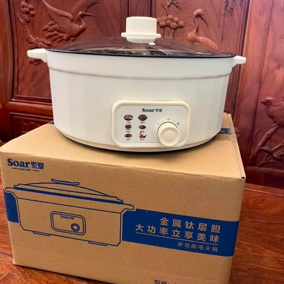 Electric Cooking Pot